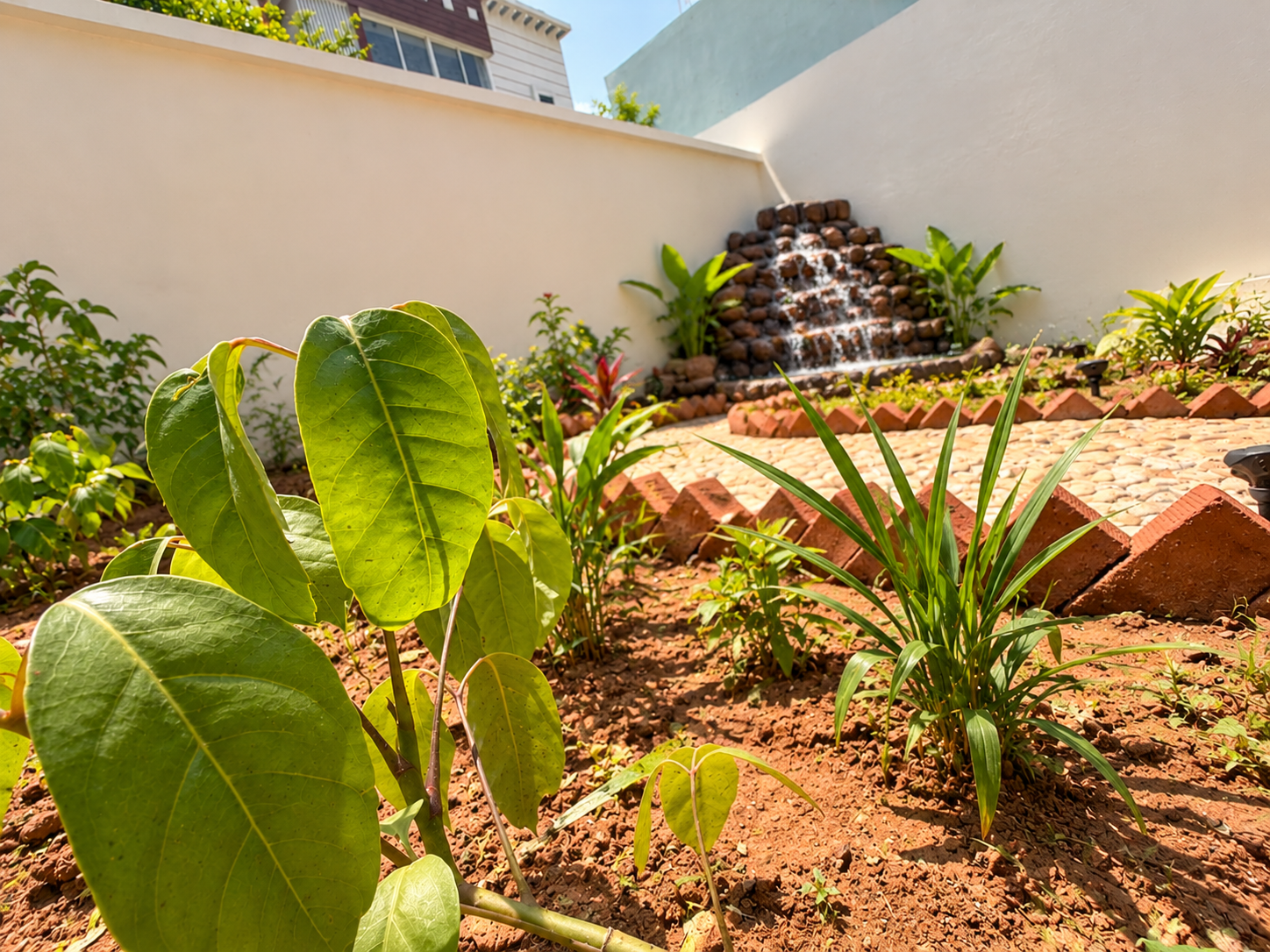 Young plants grow in Amritavana’s soil beds beside a stone pathway, with the garden waterfall in the background.
